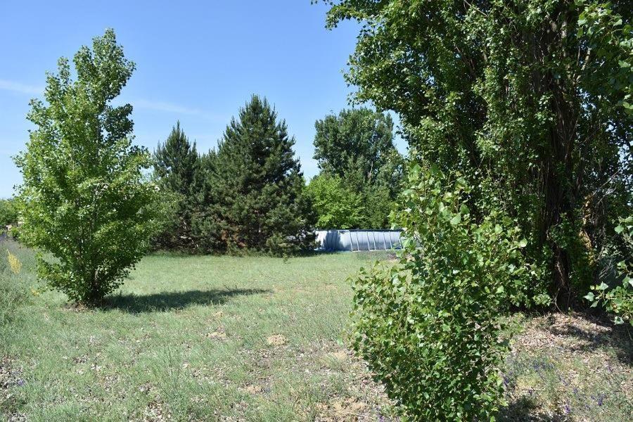 Boroka Tanya Βίλα Orgovany Εξωτερικό φωτογραφία